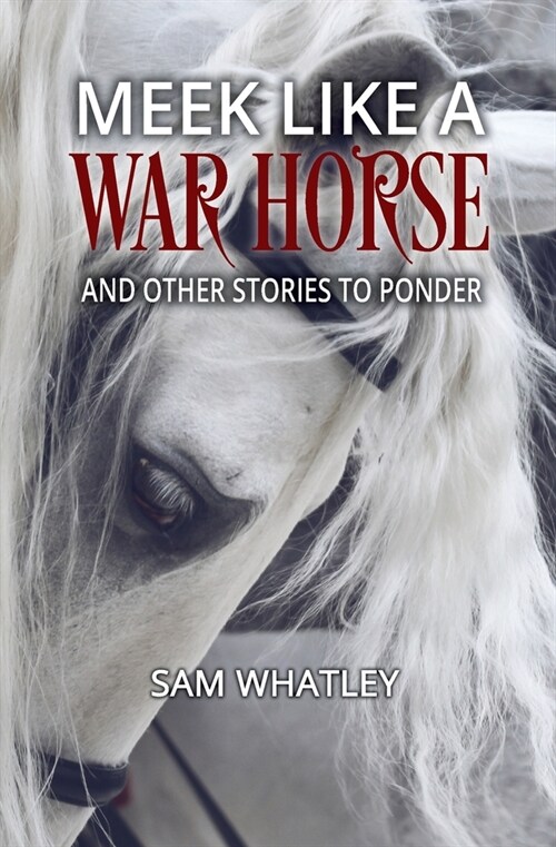 Meek Like a War Horse: And Other Stories to Ponder (Paperback)