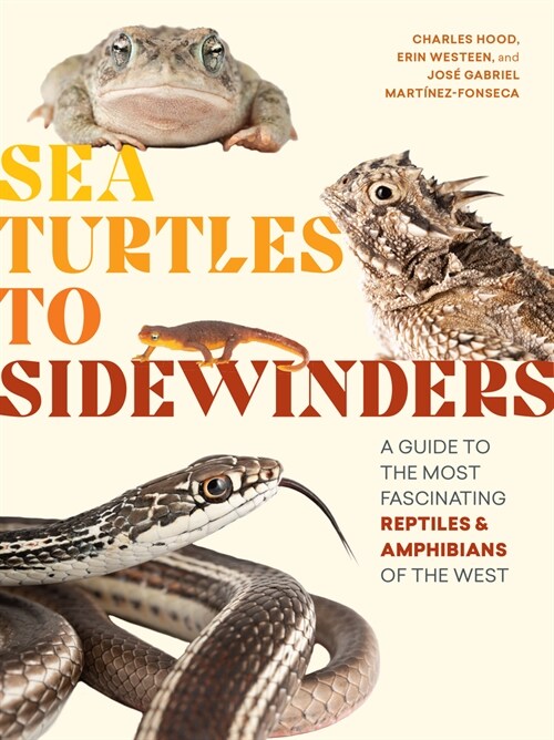 Sea Turtles to Sidewinders: A Guide to the Most Fascinating Reptiles and Amphibians of the West (Paperback)