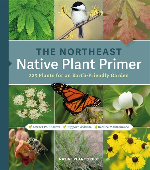 The Northeast Native Plant Primer: 235 Plants for an Earth-Friendly Garden (Paperback)