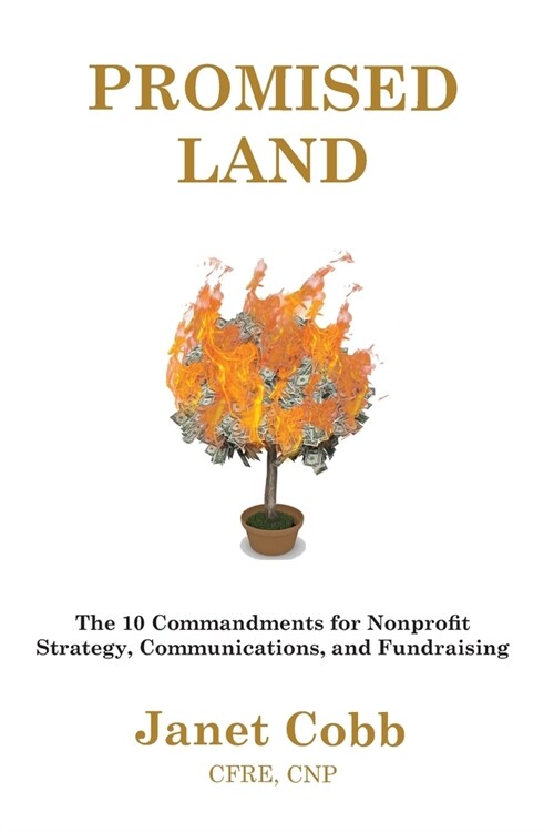 Promised Land: The 10 Commandments for Nonprofit Strategy, Communications, and Fundraising (Paperback)
