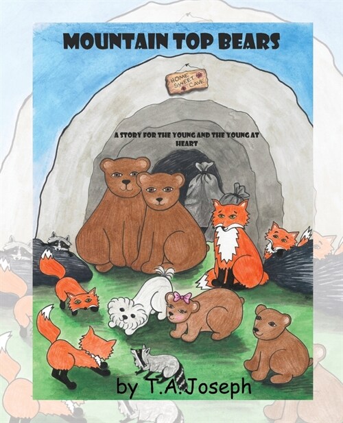 The Mountain Top Bears (Paperback)