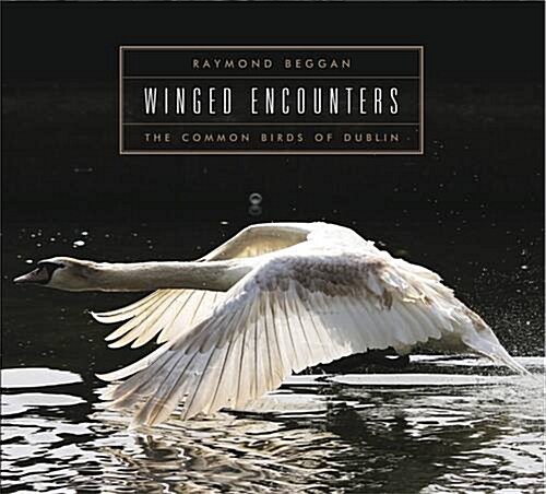Winged Encounters (Hardcover)