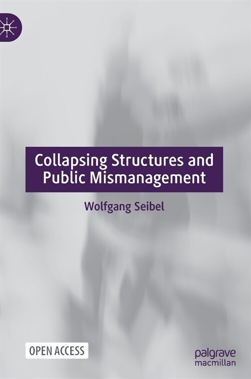 Collapsing Structures and Public Mismanagement (Hardcover)