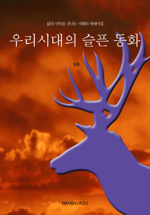 삶의 사막을 건너는 지혜의 에세이집 : 우리시대의 슬픈 동화 커버