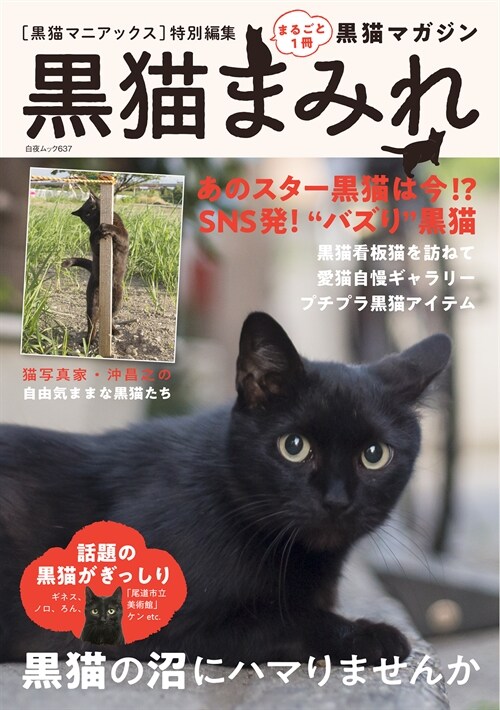 黑猫まみれ( 白夜ムック637)