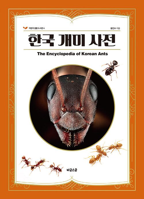 한국 개미 사전