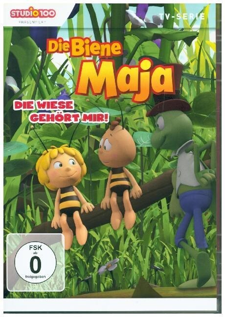 Die Biene Maja (CGI). Tl.19, 1 DVD (DVD Video)