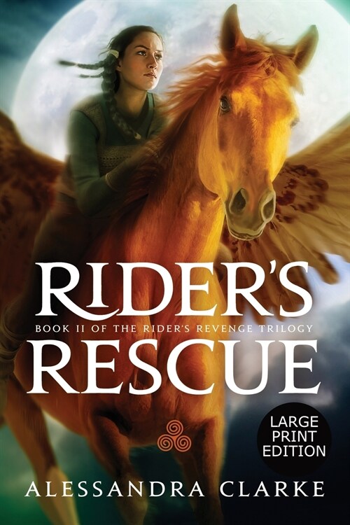 Riders Rescue (Paperback)