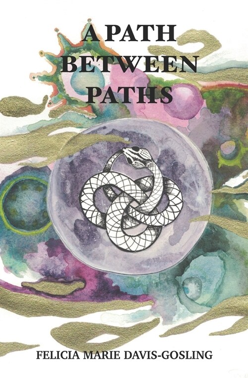 A Path Between Paths (Paperback)