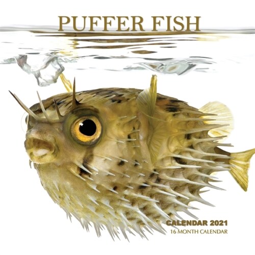 Puffer Fish Calendar 2021: 16 Month Calendar (Paperback)