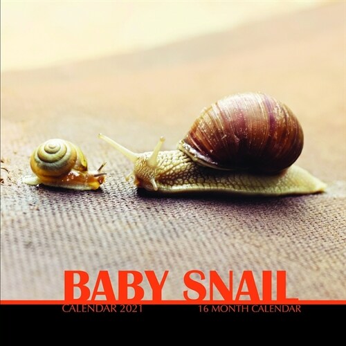 Baby Snail Calendar 2021: 16 Month Calendar (Paperback)