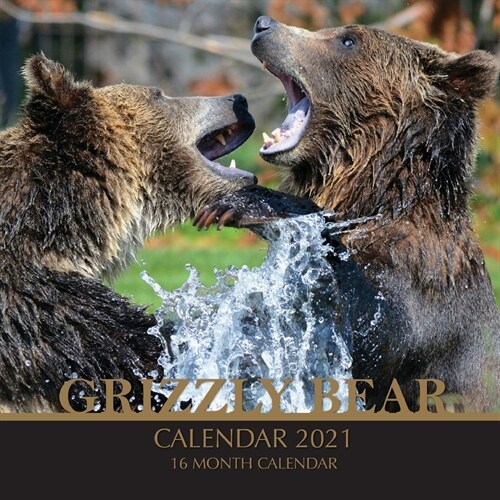 Grizzly Bear Calendar 2021: 16 Month Calendar (Paperback)