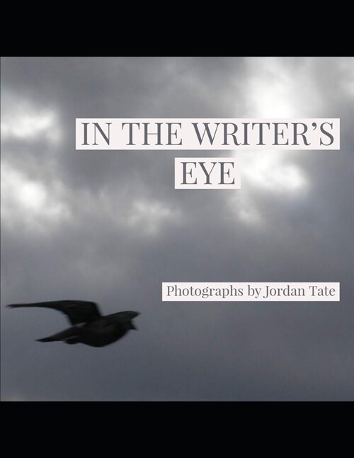 In the Writers Eye: A collection of photographs by female writer Jordan Tate (Paperback)