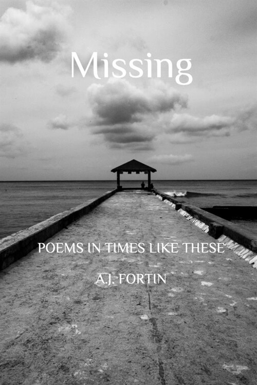 Missing: Poems in Times Like These (Paperback)