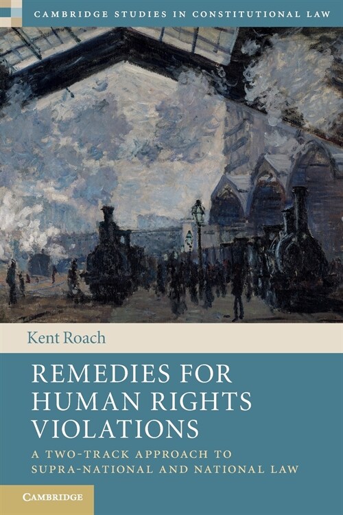 Remedies for Human Rights Violations : A Two-Track Approach to Supra-national and National Law (Paperback)