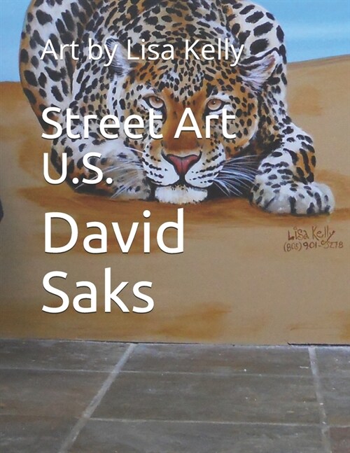 Street Art U.S.: Art by Lisa Kelly (Paperback)