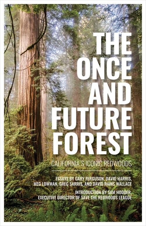 The Once and Future Forest: Californias Iconic Redwoods (Hardcover)