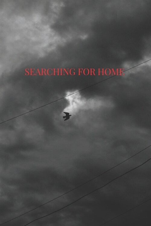 Searching for home.: Volume 1 (Paperback)
