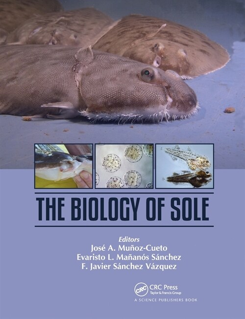 The Biology of Sole (Paperback, 1)