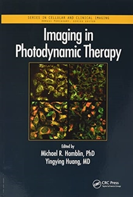 Imaging in Photodynamic Therapy (Paperback, 1)