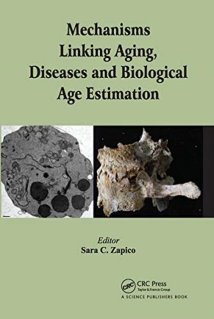 Mechanisms Linking Aging, Diseases and Biological Age Estimation (Paperback, 1)