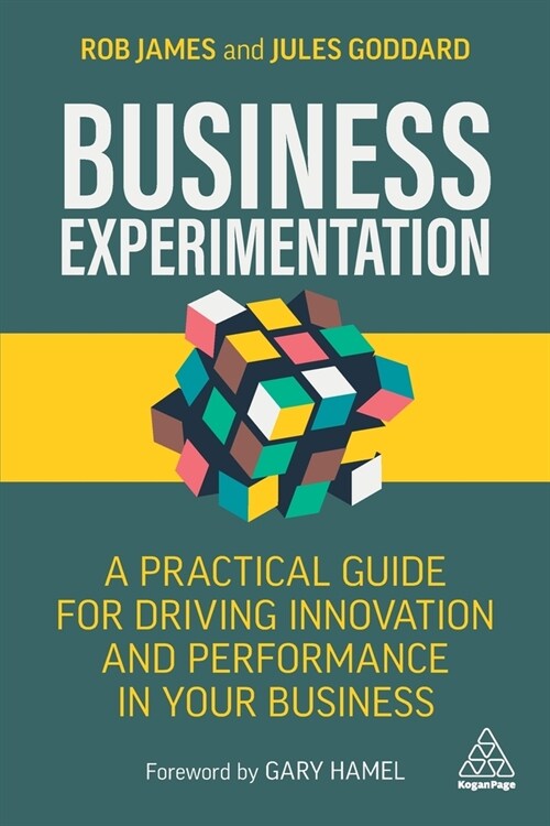 Business Experimentation : A Practical Guide for Driving Innovation and Performance in Your Business (Paperback)