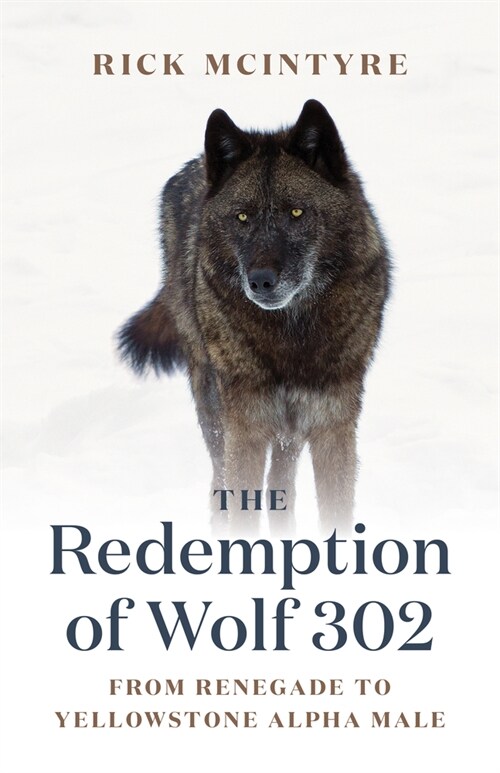 The Redemption of Wolf 302: From Renegade to Yellowstone Alpha Male (Hardcover)
