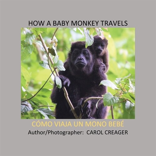 How a Baby Monkey Travels: C?o Viaja Un Mono Beb? (Paperback)