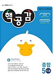 핵심공부감잡기(핵공감) 수학 초등5학년-11호