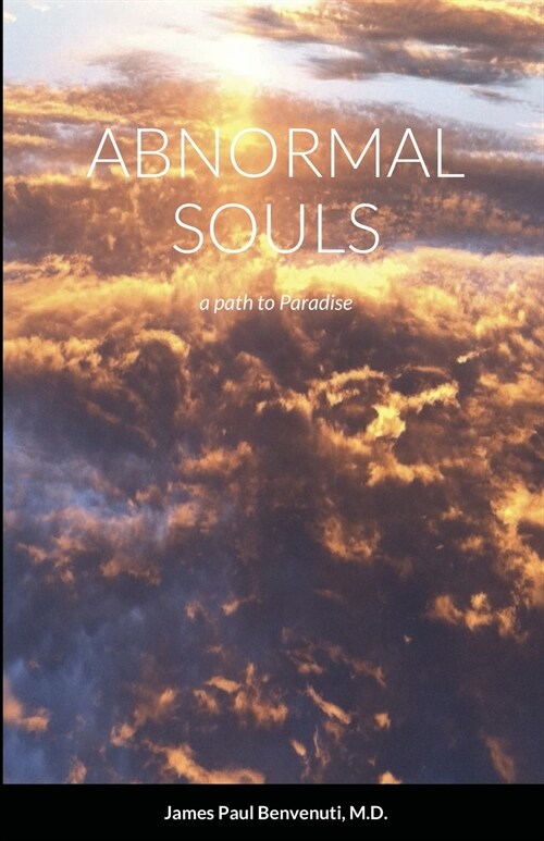 Abnormal Souls: a path to Paradise (Paperback)