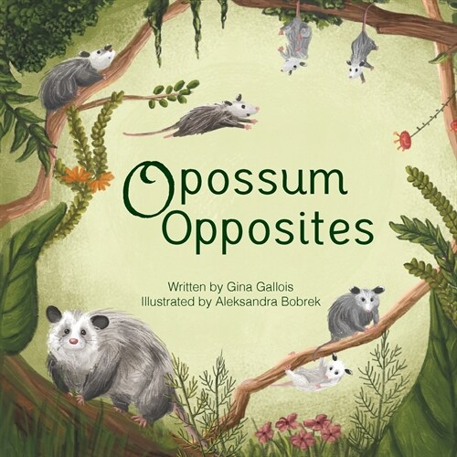 Opossum Opposites (Paperback)