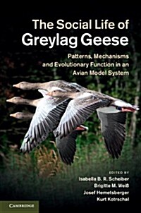 The Social Life of Greylag Geese : Patterns, Mechanisms and Evolutionary Function in an Avian Model System (Hardcover)