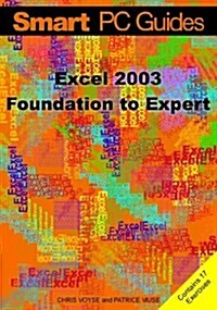 Excel 2003 (Paperback)