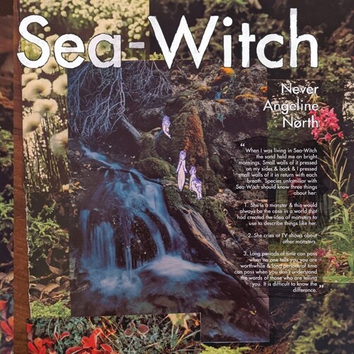 Sea-Witch (Paperback)