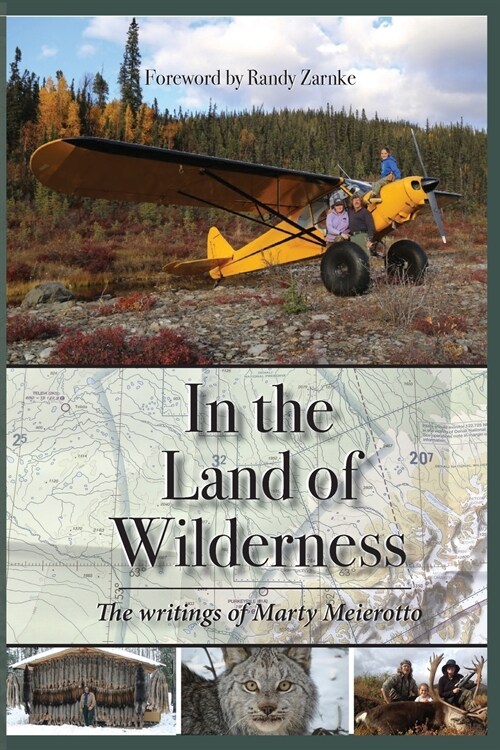 In the Land of Wilderness (Paperback)