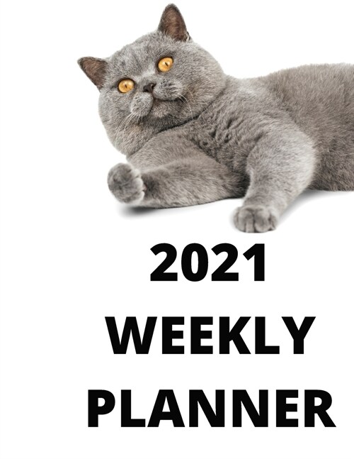 2021 weekly planner: 2021 Planner Weekly: January to December (Paperback)