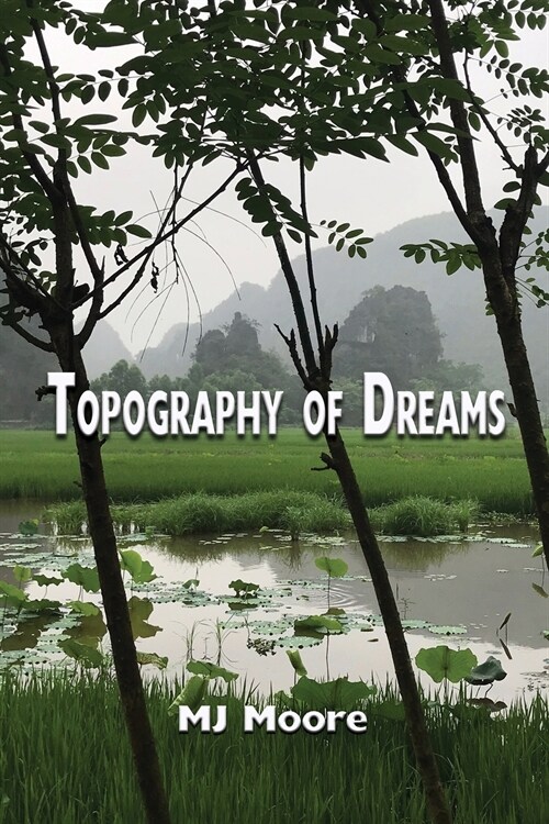 Topography of Dreams (Paperback)