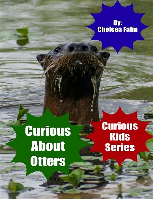 Curious About Otters (Paperback)