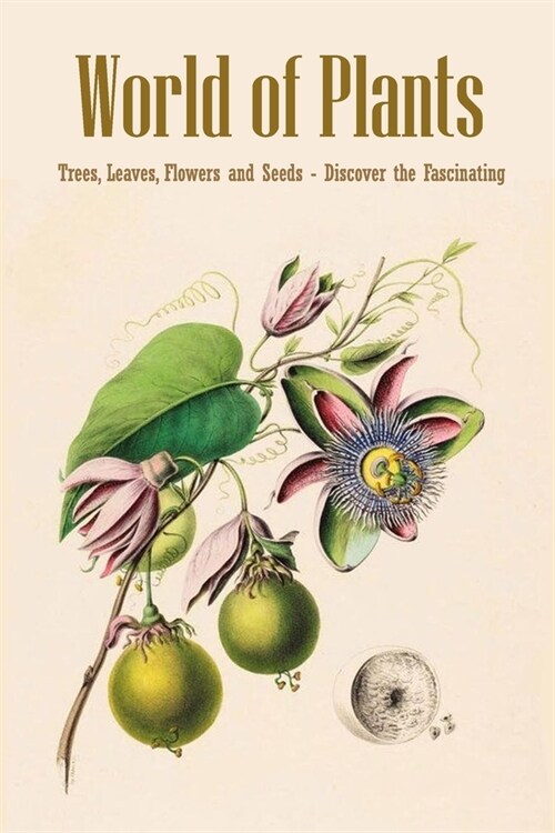 World of Plants: Trees, Leaves, Flowers and Seeds - Discover the Fascinating: Houseplants Book (Paperback)