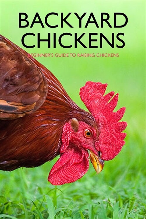 Backyard Chickens: Beginners Guide to Raising Chickens: Guide to Keeping Chickens (Paperback)