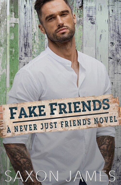 Fake Friends (Paperback)