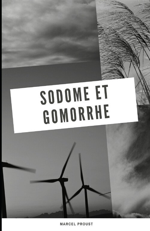 Sodome et Gomorrhe Illustree (Paperback)