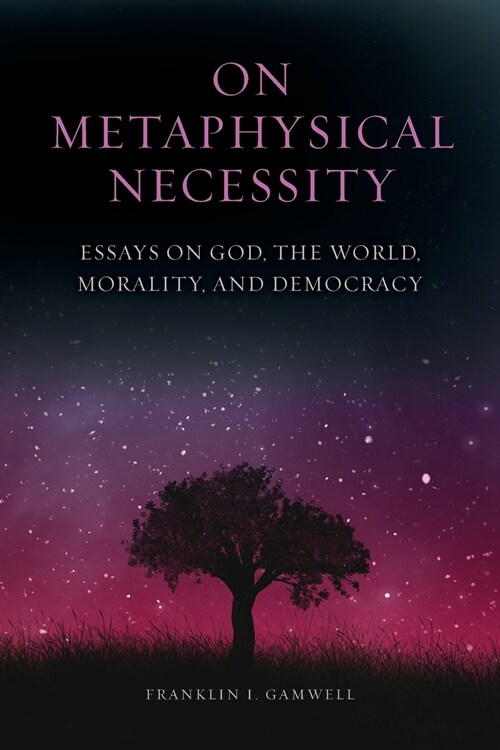 On Metaphysical Necessity: Essays on God, the World, Morality, and Democracy (Paperback)