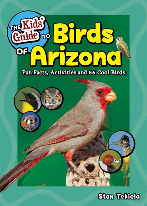 The Kids Guide to Birds of Arizona: Fun Facts, Activities and 88 Cool Birds (Paperback)