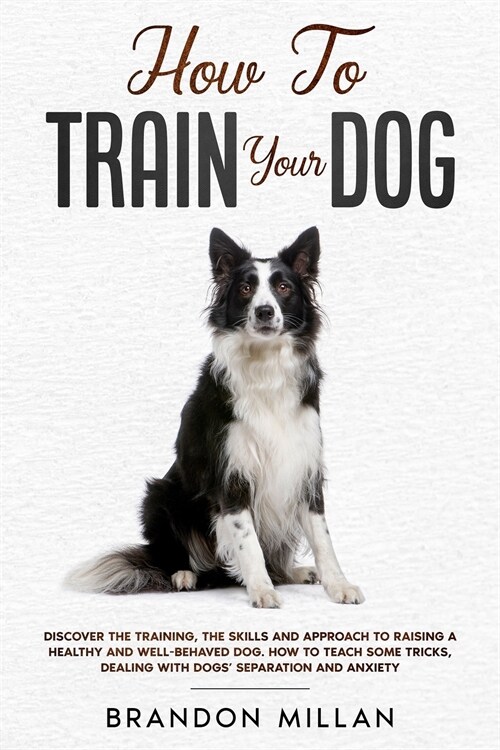 How to Train your Dog: Discover the Training, the Skills and Approach to Raising a Healthy and Well-Behaved Dog. How to Teach Some Tricks, De (Paperback)