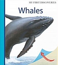 Whales (Spiral Bound)
