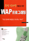 무선 인터넷 개발을 위한 WAP 프로그래밍