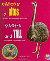 Chicos y altos/ Short and Tall (Library, Bilingual)