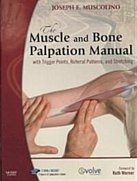 The Muscle and Bone Palpation Manual with Trigger Points, Referral Patterns and Stretching [With Flashcards-Palpation/Trigger Points/Referral... and 2 (Paperback)