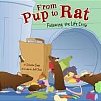 From Pup to Rat: Following the Life Cycle (Library Binding)